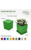 kare kapaklı promosyon bitki dikim seti tohumlu su hazneli logo baskılı eşantiyon saksı